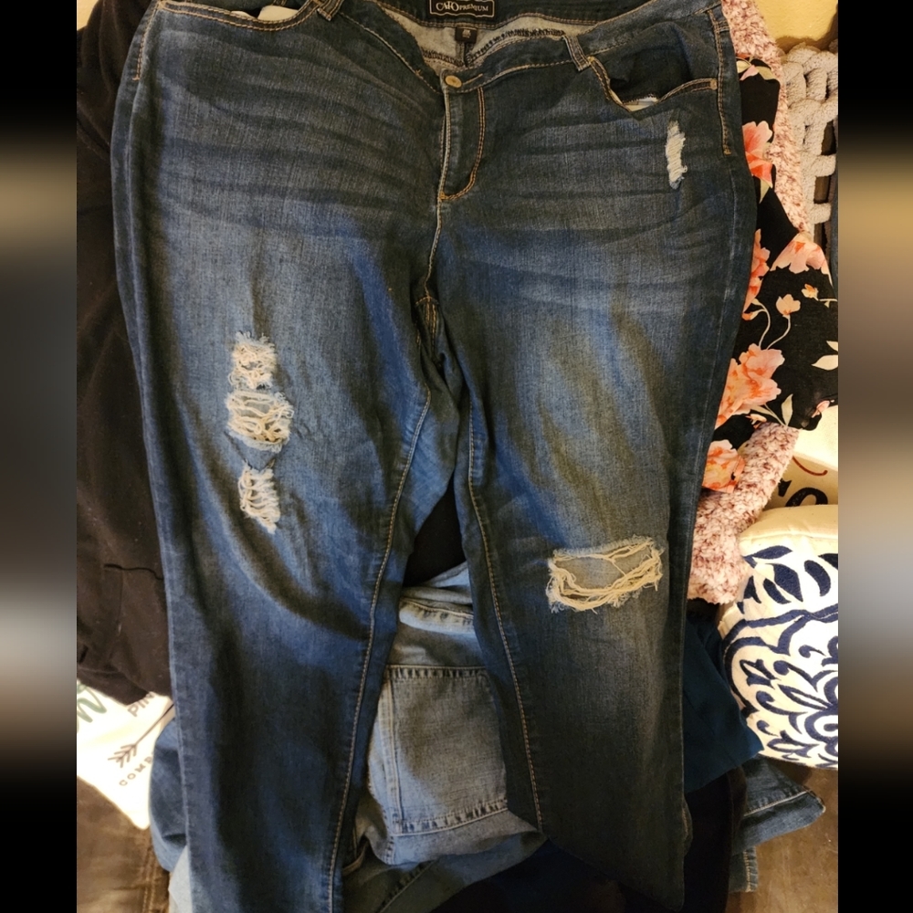 Cato jeans size 20